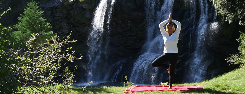 Die Baumstellung am Wasserfall