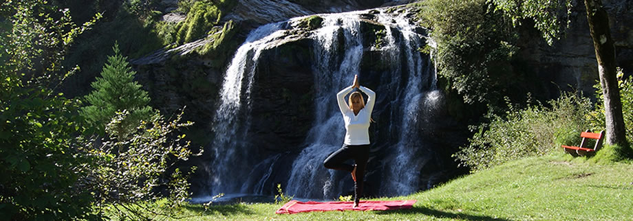 Baumstellung am Wasserfall in Faido